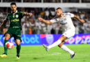 Santos e Palmeiras deixam impressões ambíguas em 1ª final